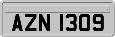 AZN1309