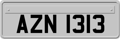 AZN1313