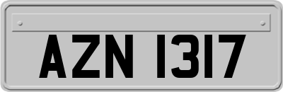 AZN1317