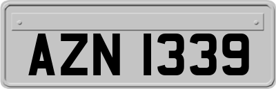 AZN1339