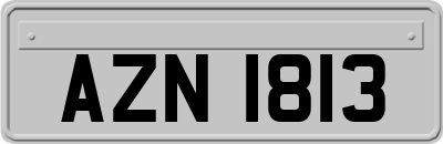 AZN1813