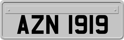 AZN1919
