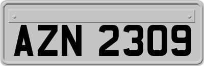 AZN2309