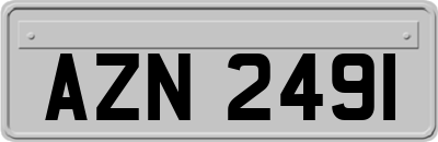 AZN2491