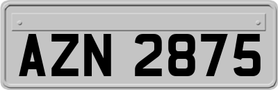 AZN2875