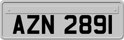 AZN2891