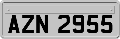 AZN2955
