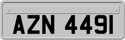 AZN4491