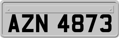 AZN4873