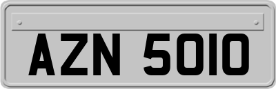 AZN5010