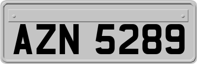 AZN5289