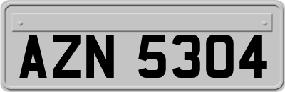 AZN5304