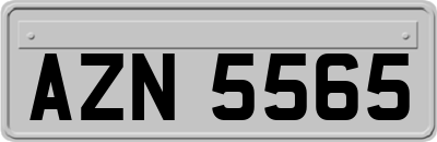 AZN5565