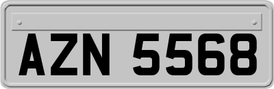 AZN5568