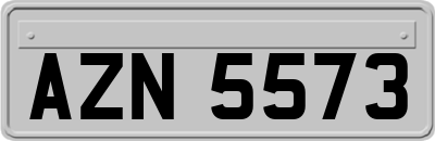 AZN5573