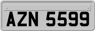 AZN5599