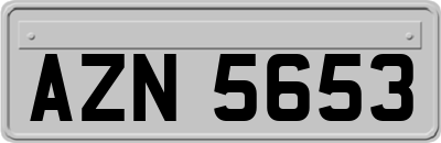 AZN5653
