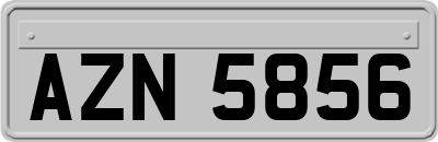 AZN5856