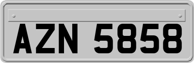 AZN5858