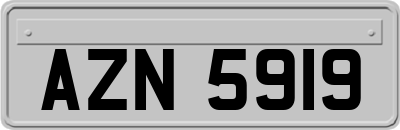 AZN5919