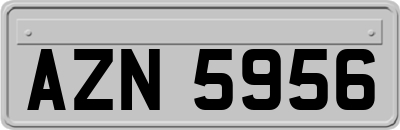 AZN5956