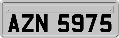 AZN5975