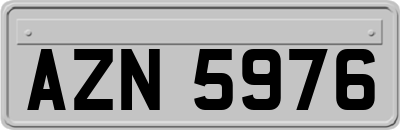 AZN5976