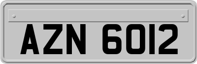 AZN6012