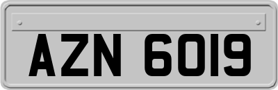 AZN6019