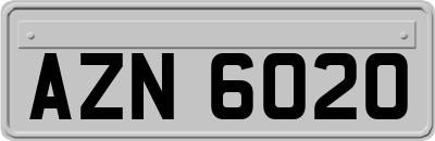 AZN6020