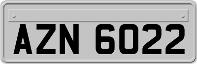 AZN6022