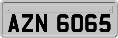 AZN6065