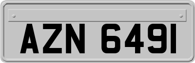 AZN6491