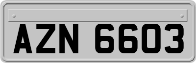 AZN6603