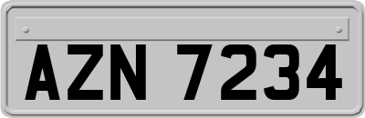 AZN7234