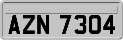 AZN7304