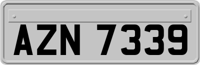 AZN7339