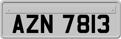 AZN7813