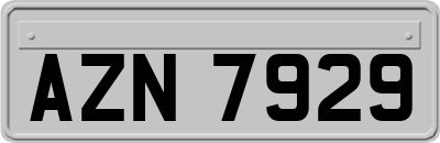 AZN7929