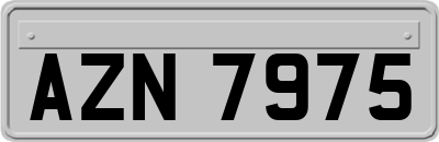 AZN7975