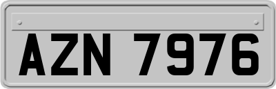 AZN7976