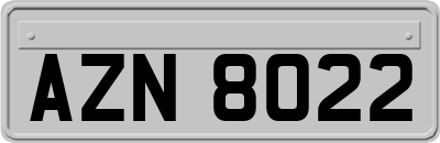 AZN8022