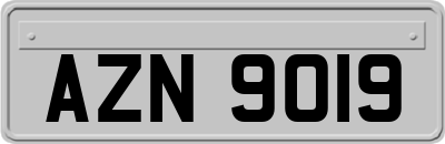 AZN9019