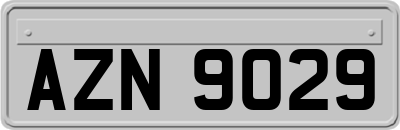 AZN9029