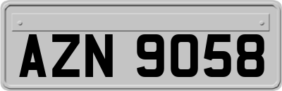 AZN9058