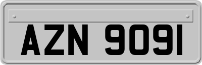 AZN9091