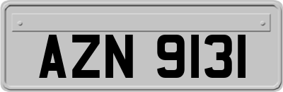 AZN9131