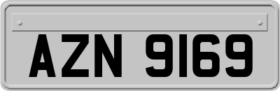 AZN9169