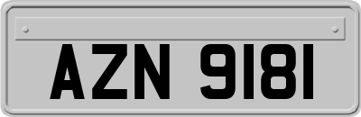AZN9181