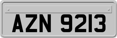 AZN9213